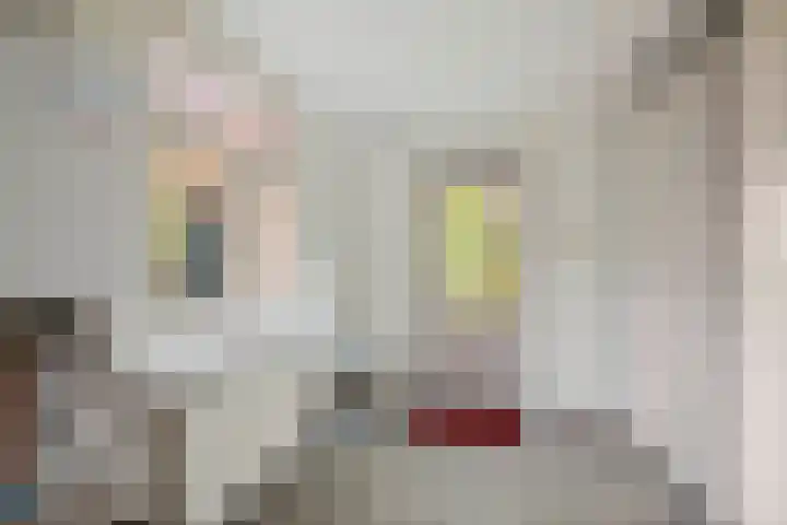 Lindelaan 26 Twello thumbnail 12