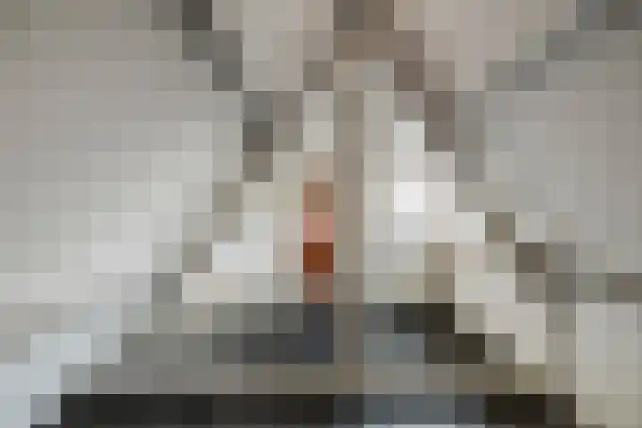 Lindelaan 26 Twello thumbnail 23