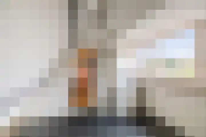 Lindelaan 26 Twello thumbnail 24