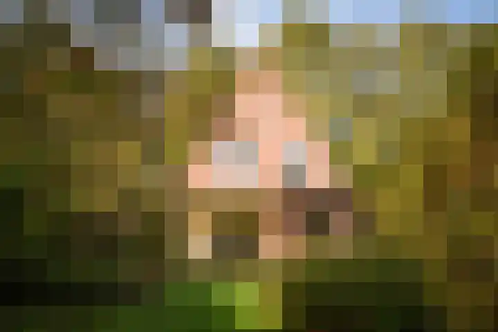 Lindelaan 26 Twello thumbnail 26
