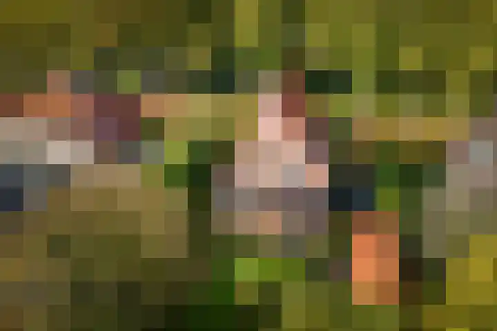 Lindelaan 26 Twello thumbnail 27
