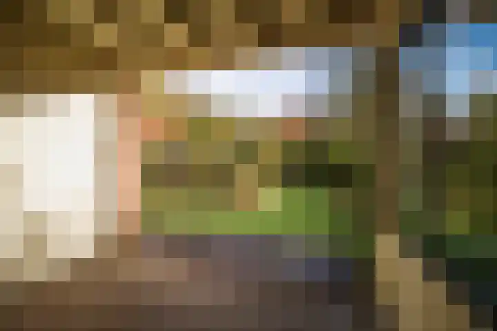 Lindelaan 26 Twello thumbnail 28