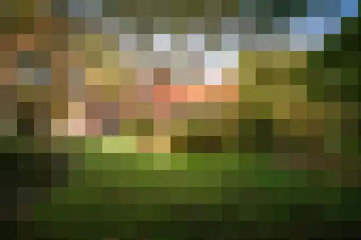 Lindelaan 26 Twello thumbnail 29