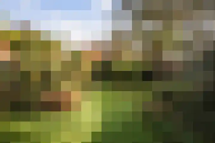 Lindelaan 26 Twello thumbnail 30