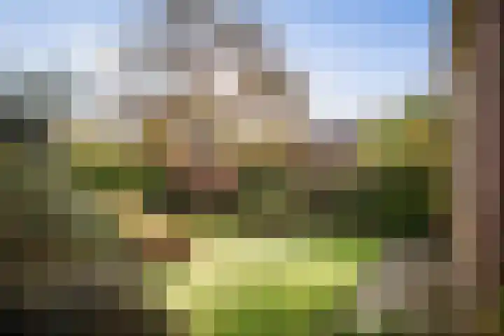 Lindelaan 26 Twello thumbnail 31