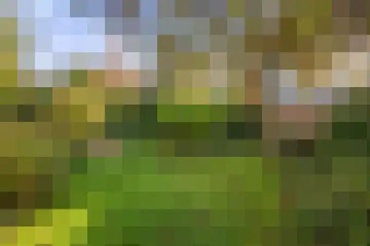 Lindelaan 26 Twello thumbnail 32