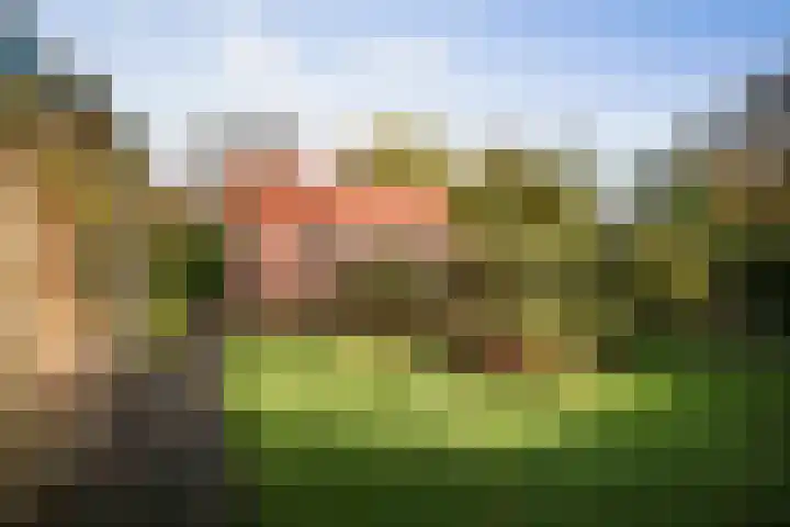 Lindelaan 26 Twello thumbnail 33