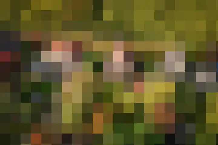 Lindelaan 26 Twello thumbnail 35