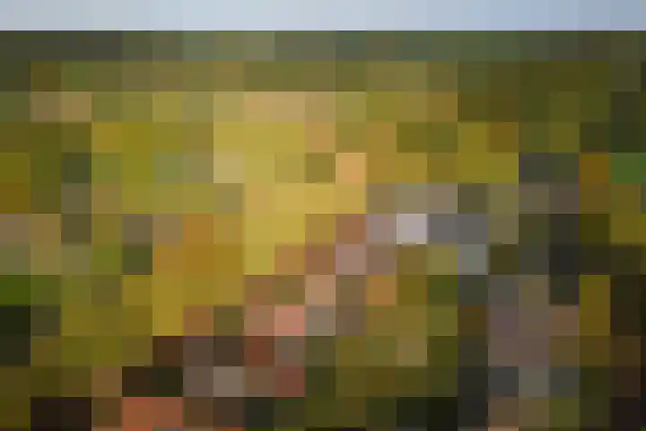 Lindelaan 26 Twello thumbnail 36