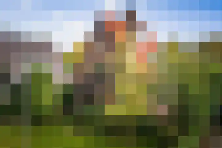Lindelaan 26 Twello thumbnail 37