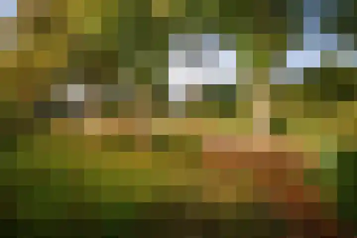 Lindelaan 26 Twello thumbnail 40