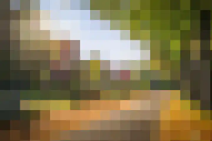 Lindelaan 26 Twello thumbnail 41