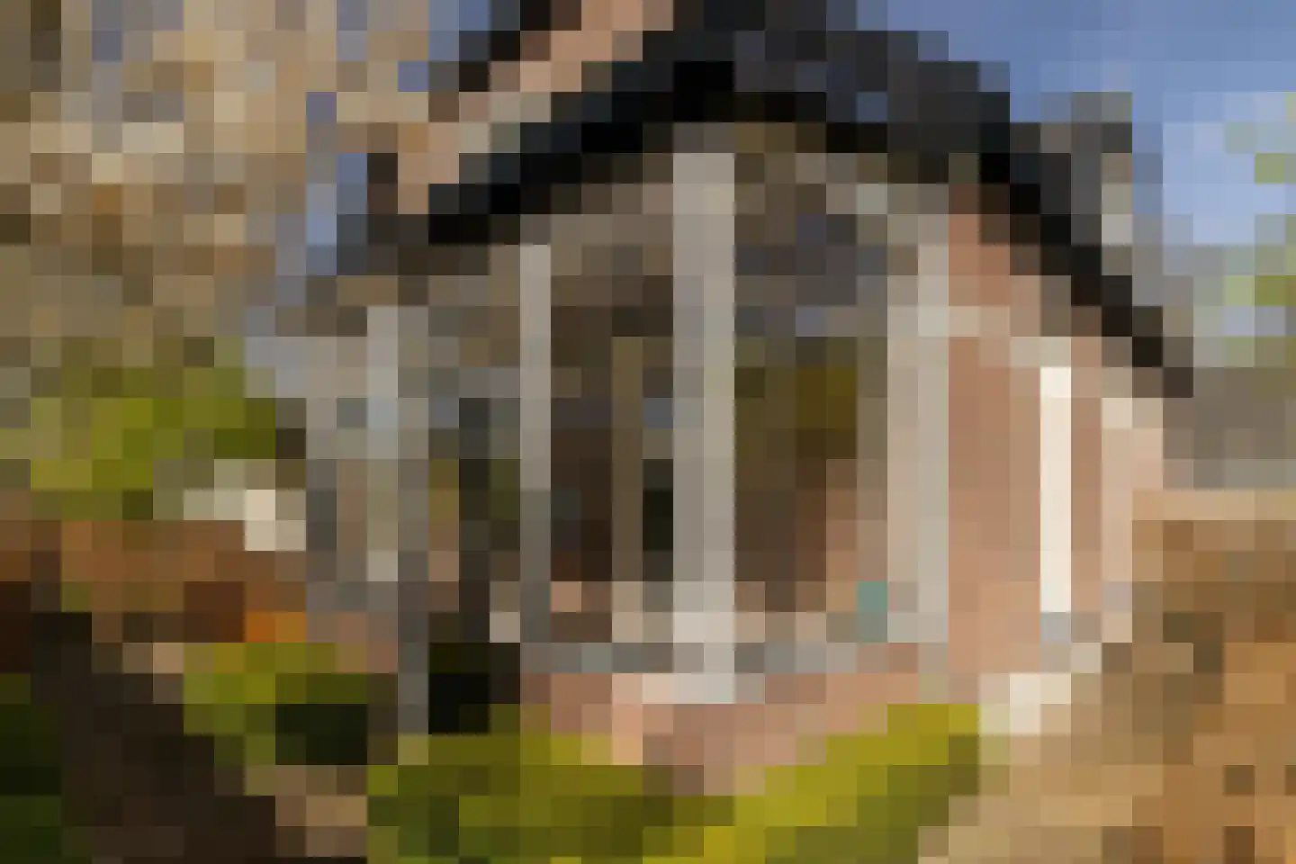 Lindelaan 27 Nunspeet thumbnail 10
