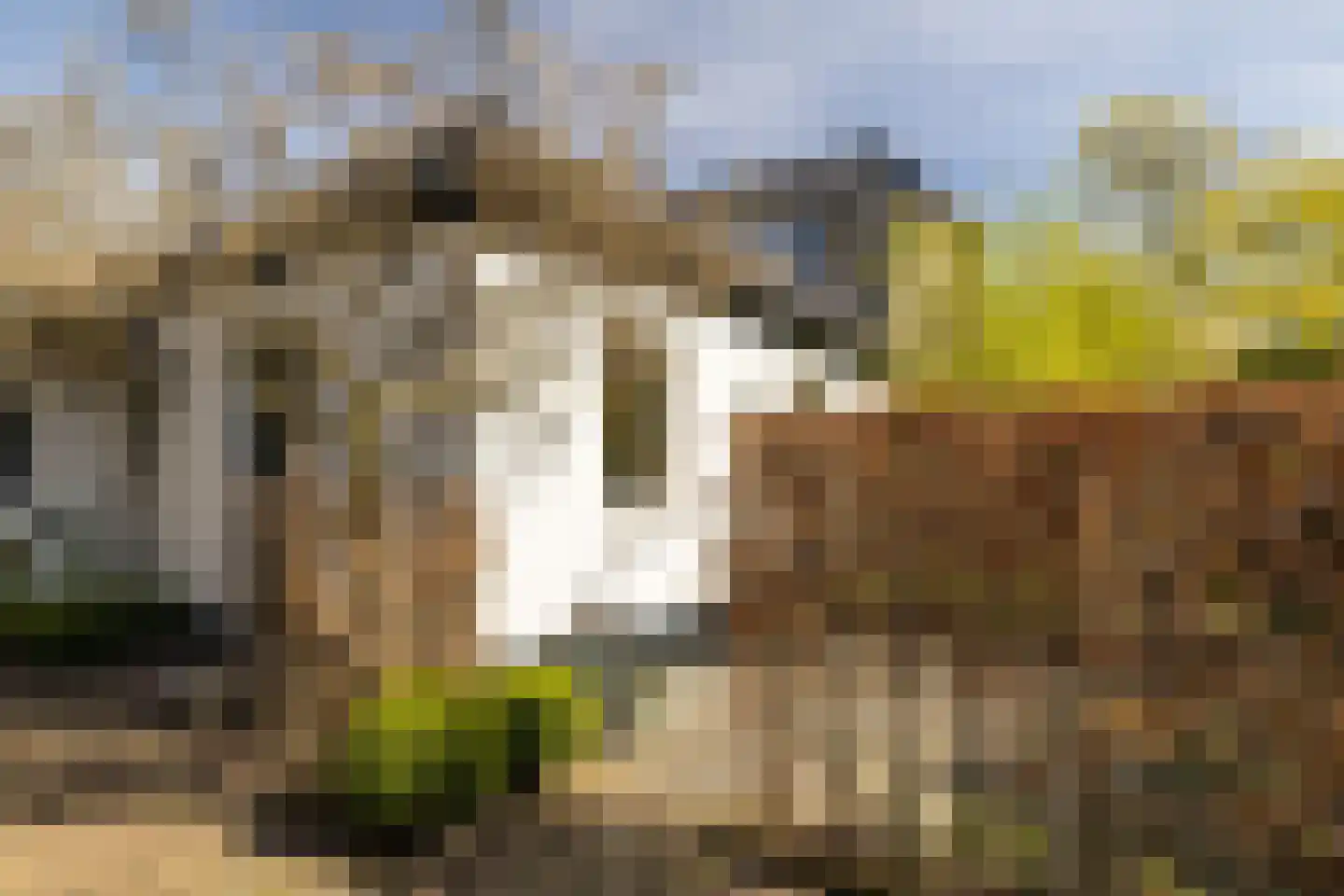 Lindelaan 27 Nunspeet thumbnail 12