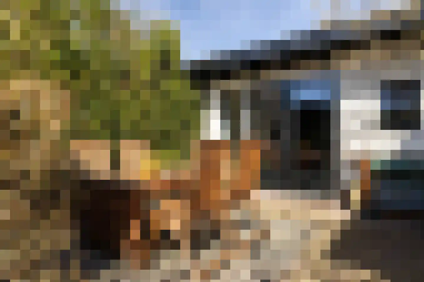 Lindelaan 27 Nunspeet thumbnail 13