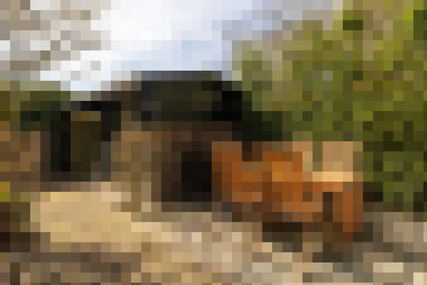 Lindelaan 27 Nunspeet thumbnail 14