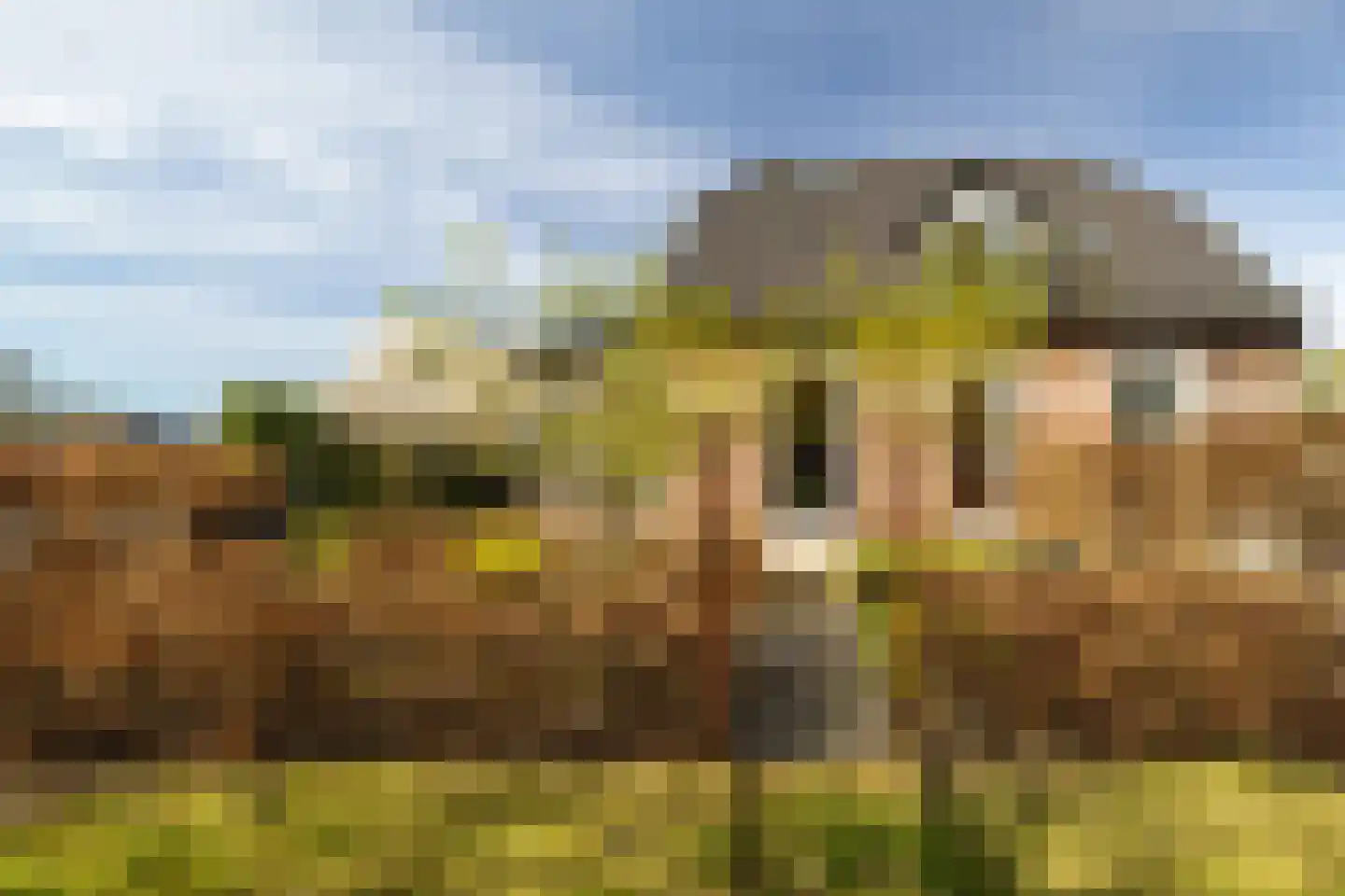 Lindelaan 27 Nunspeet thumbnail 5