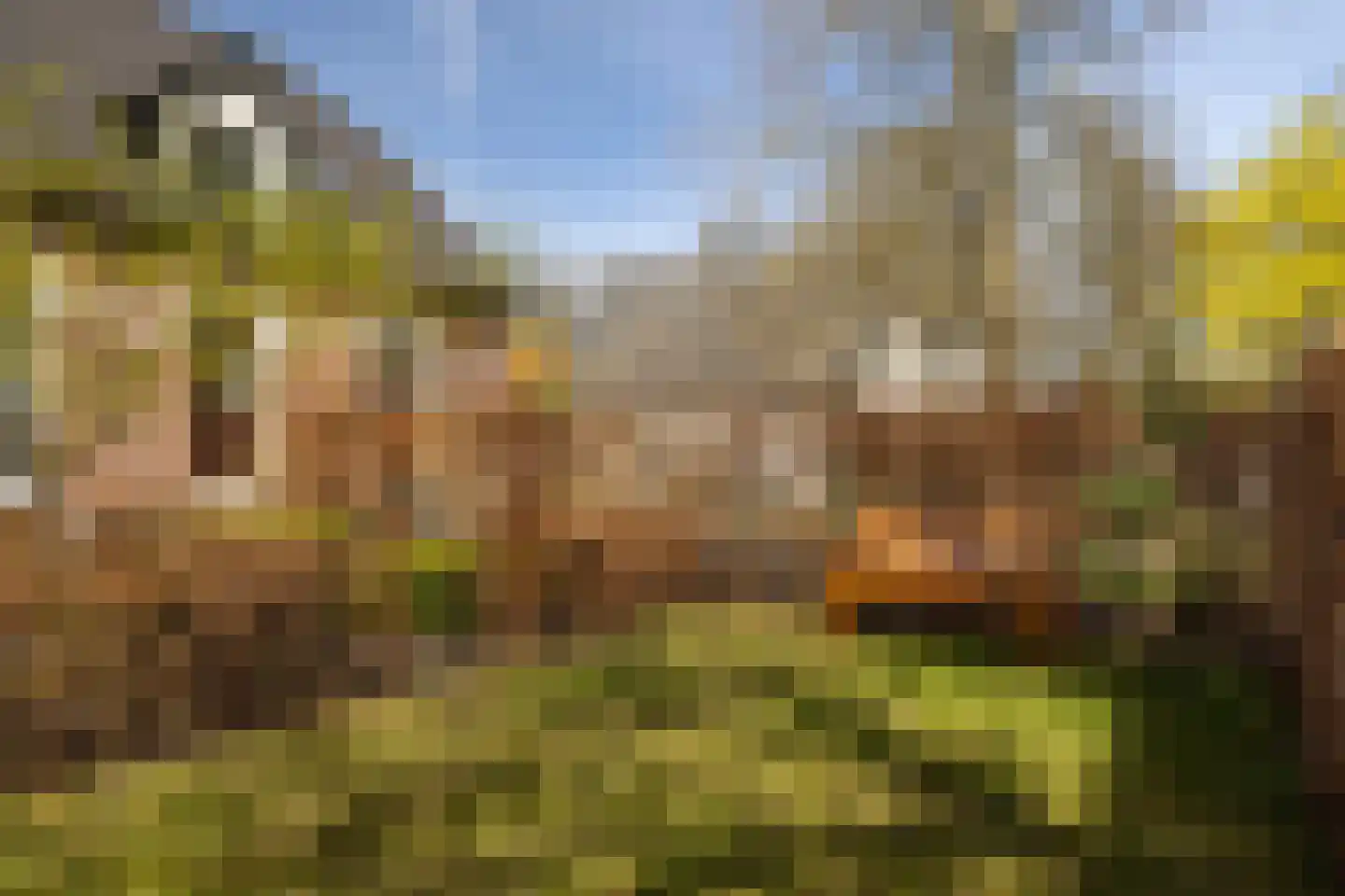 Lindelaan 27 Nunspeet thumbnail 6