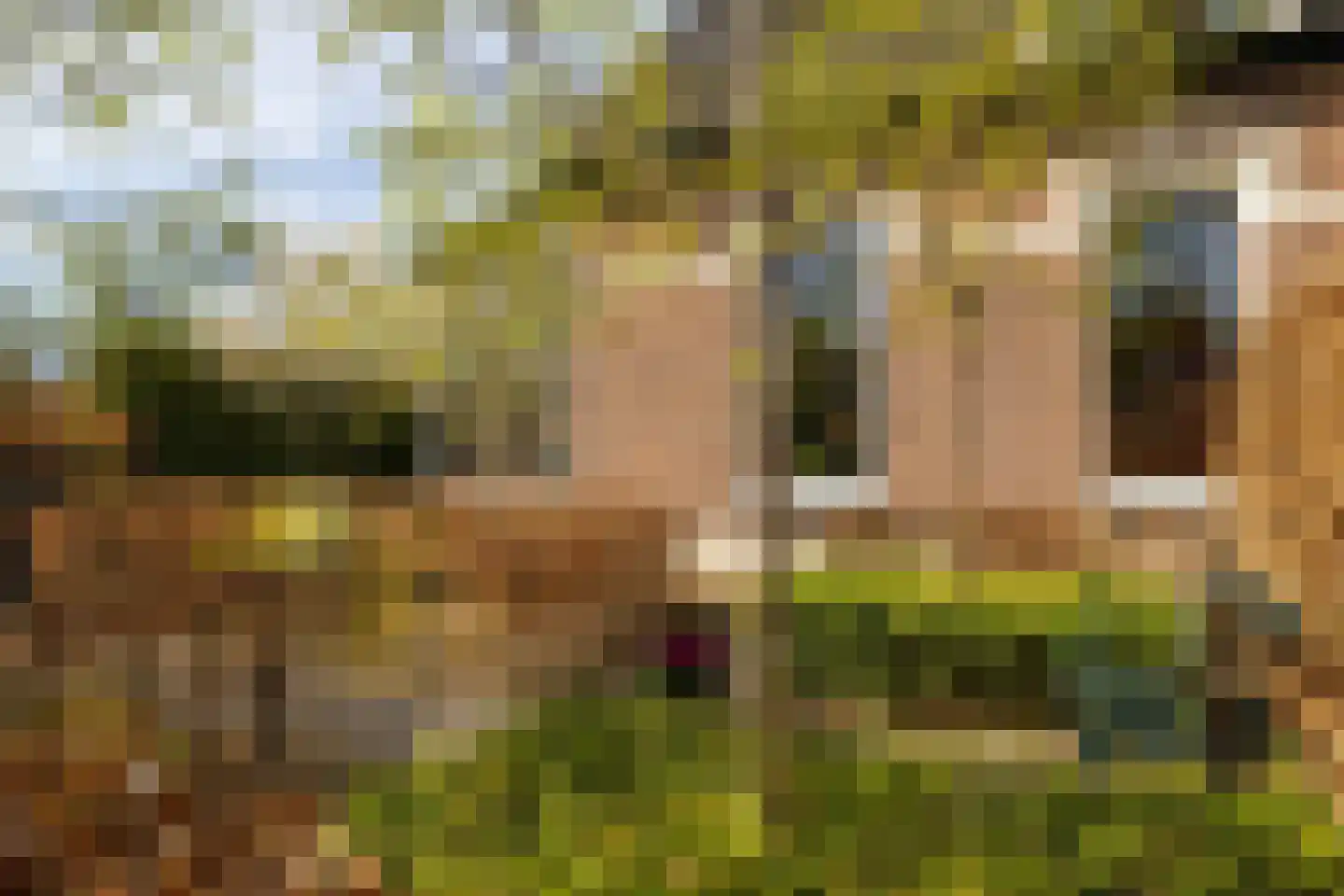 Lindelaan 27 Nunspeet thumbnail 7