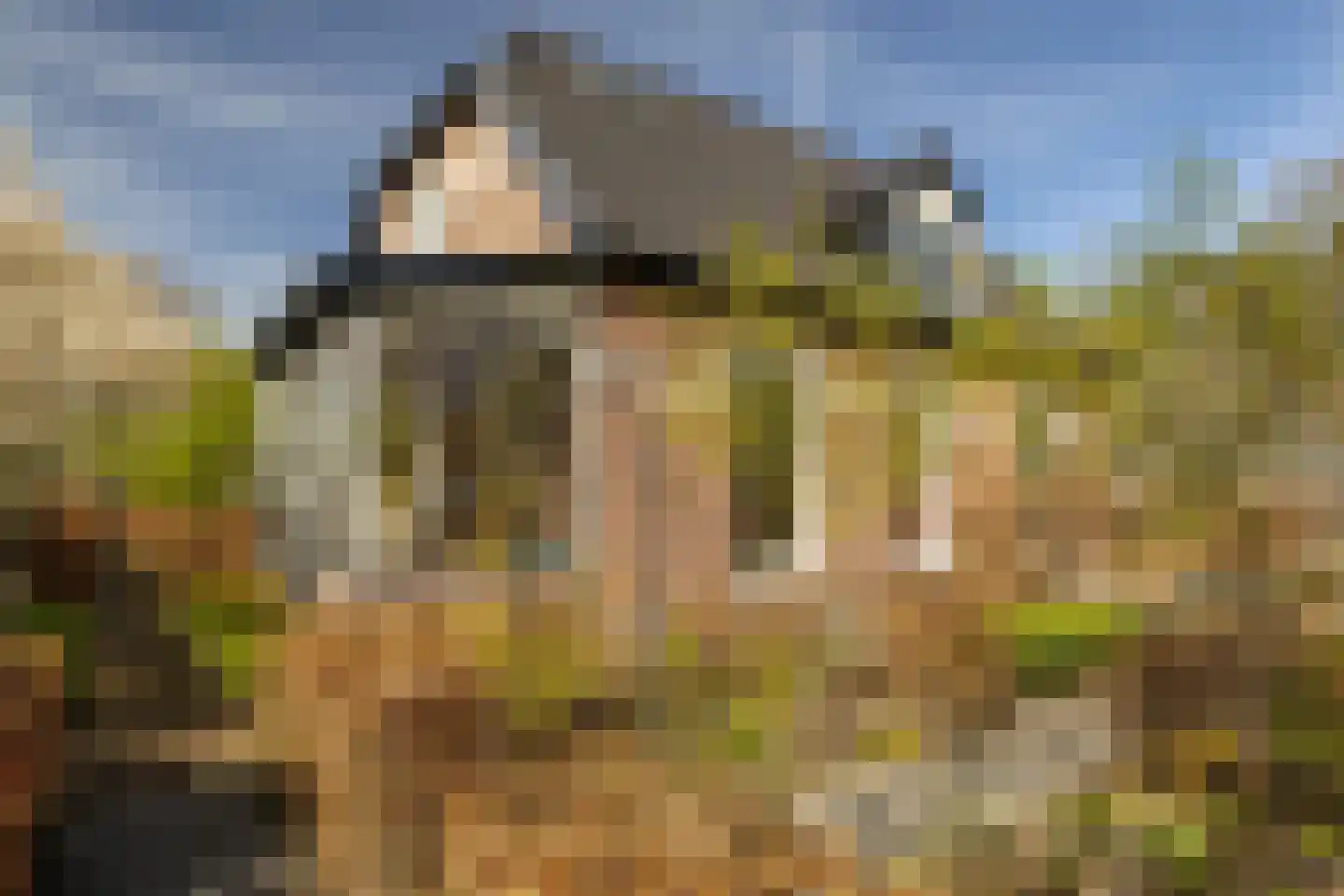 Lindelaan 27 Nunspeet thumbnail 8