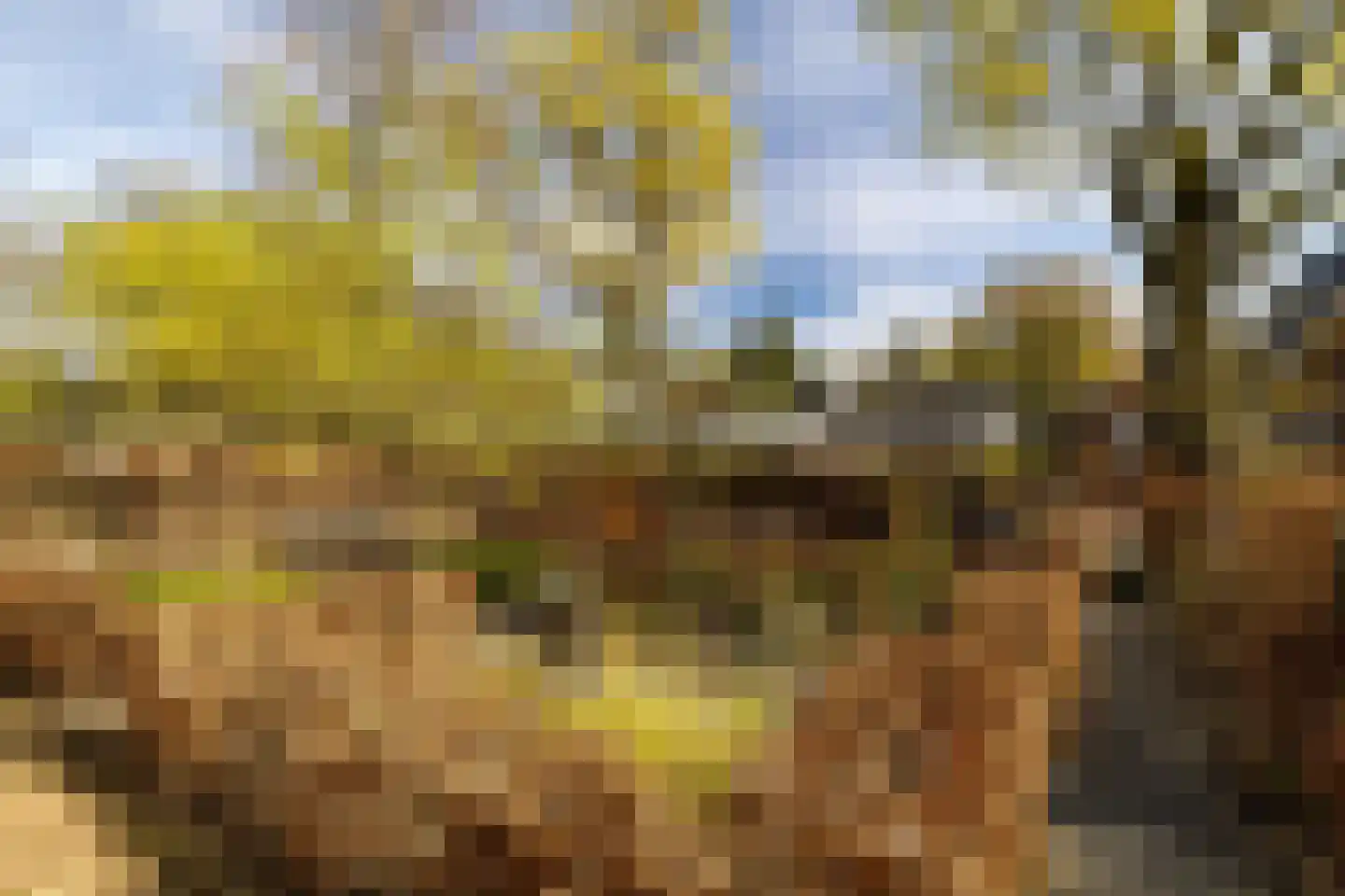 Lindelaan 27 Nunspeet thumbnail 9