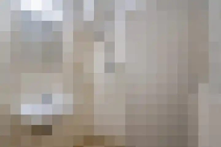 Lindelaan 279 Rijswijk thumbnail 24