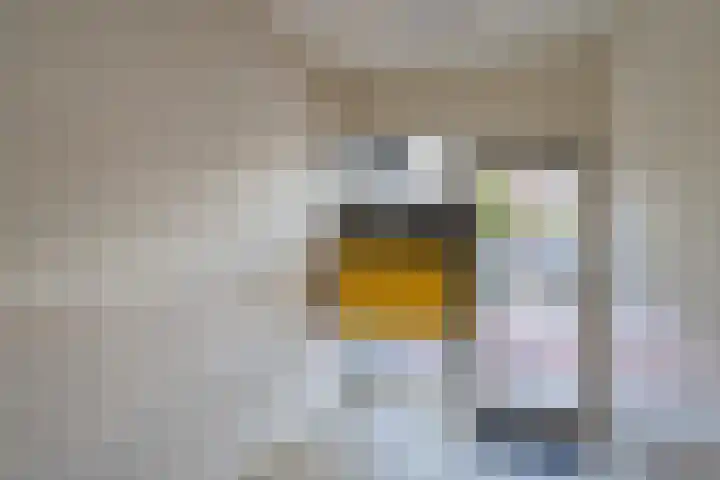 Lindelaan 279 Rijswijk thumbnail 6