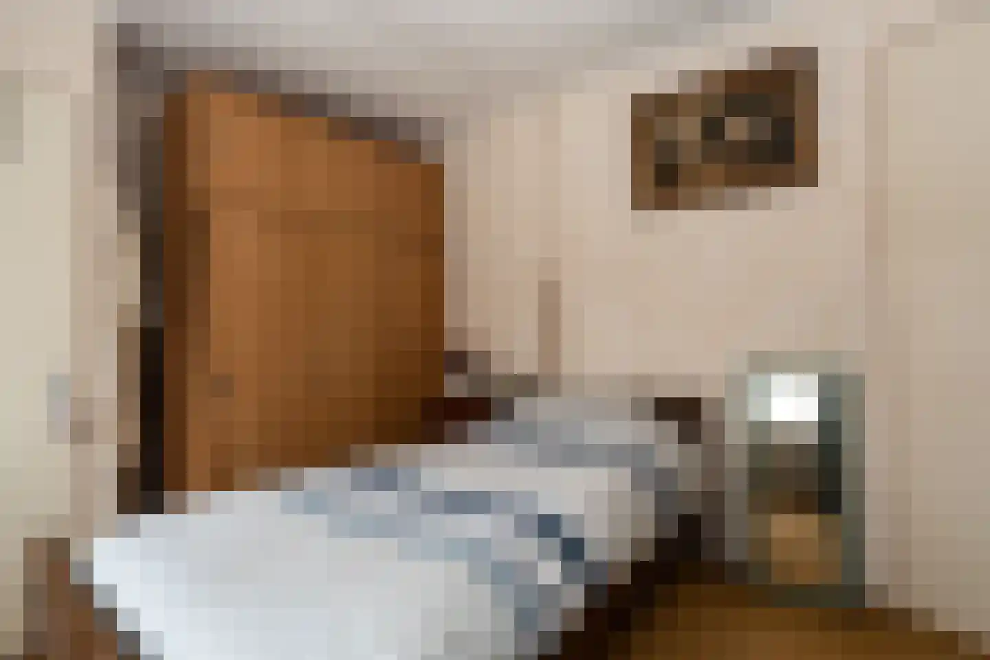 Lindelaan 28 Winschoten thumbnail 15