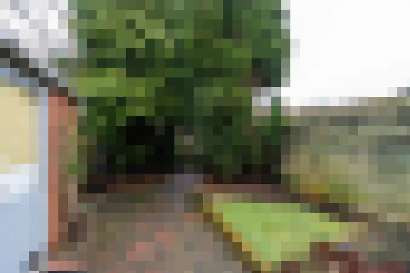 Lindelaan 28 Winschoten thumbnail 23