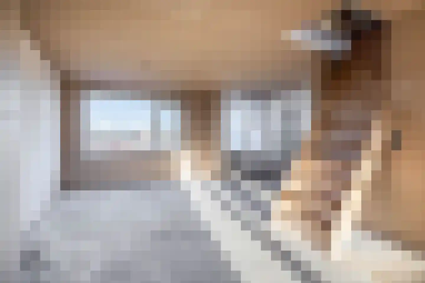 Lindelaan 285 Rijswijk thumbnail 18
