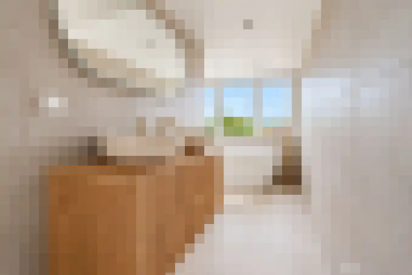 Lindelaan 285 Rijswijk thumbnail 26
