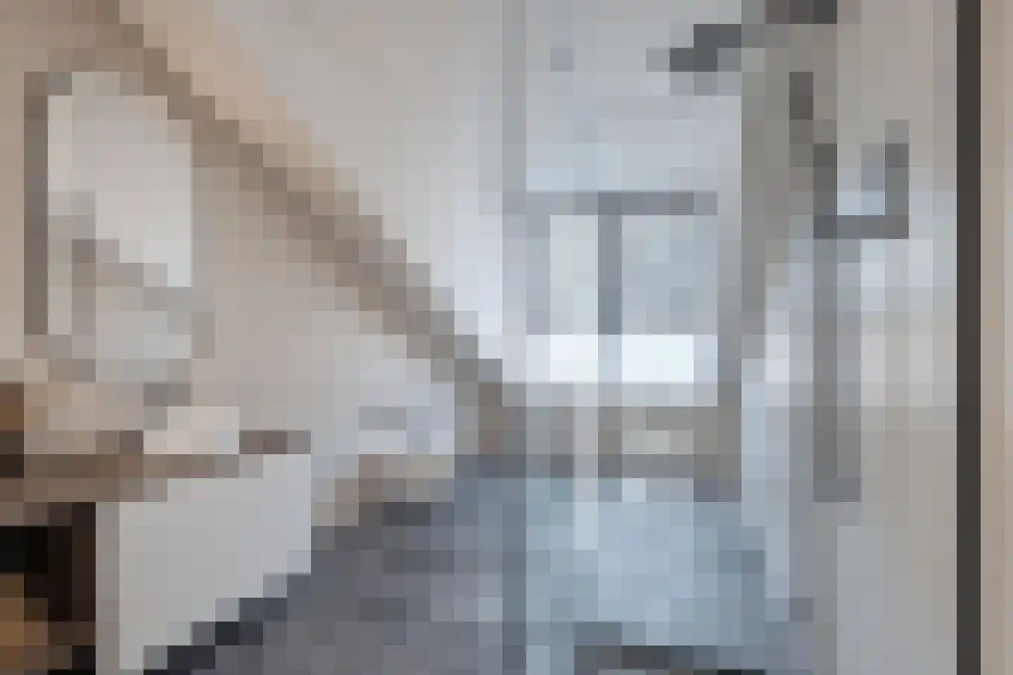 Lindelaan 285 Rijswijk thumbnail 35