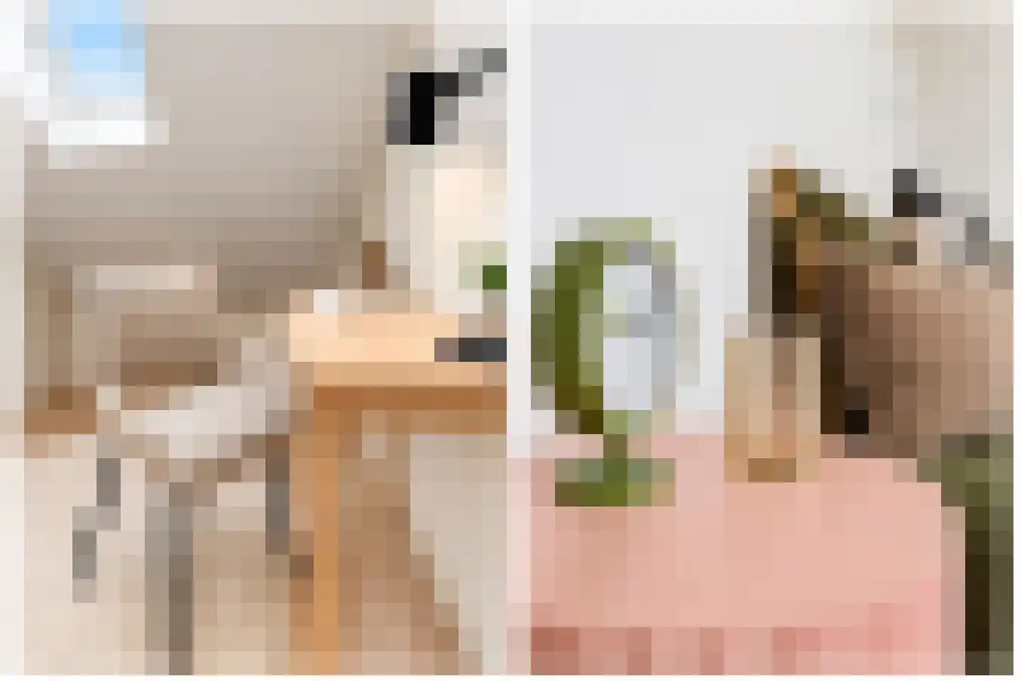 Lindelaan 285 Rijswijk thumbnail 38