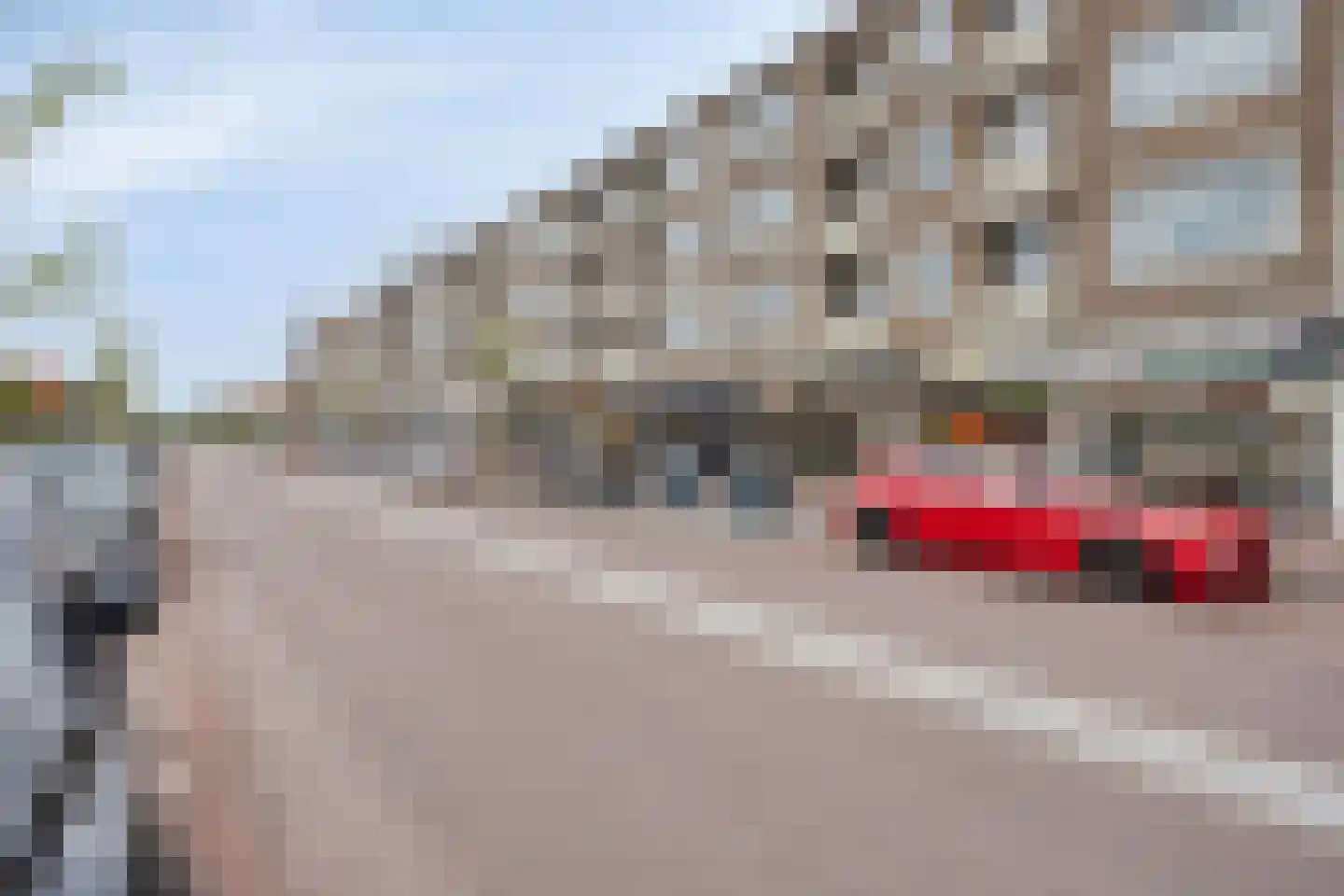 Lindelaan 287 Rijswijk thumbnail 14