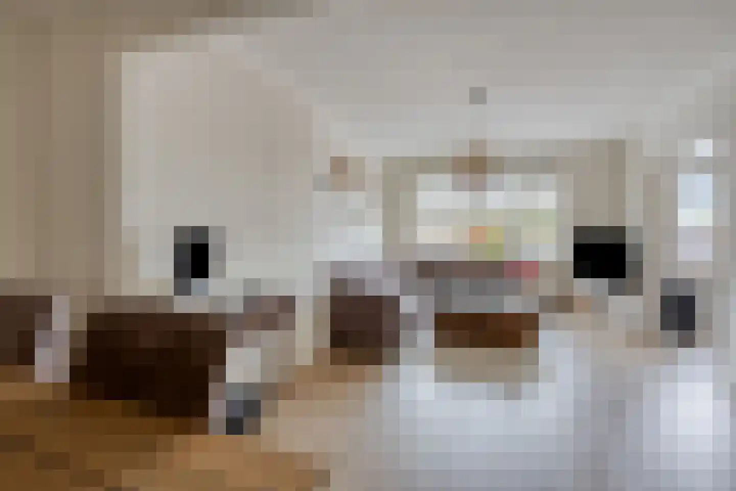 Lindelaan 287 Rijswijk thumbnail 21