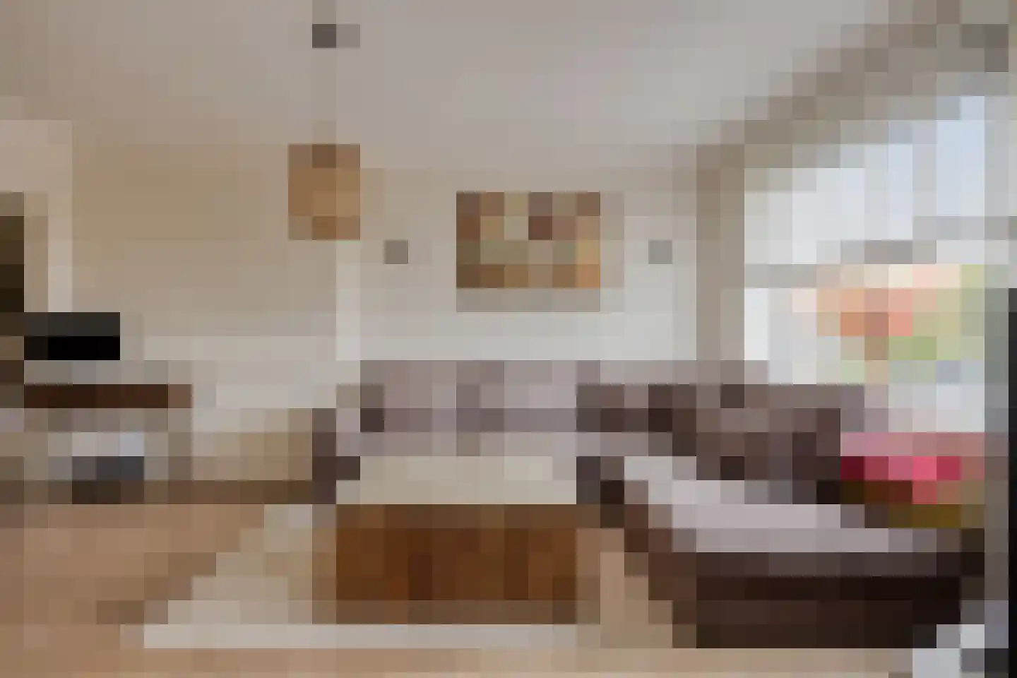 Lindelaan 287 Rijswijk thumbnail 6