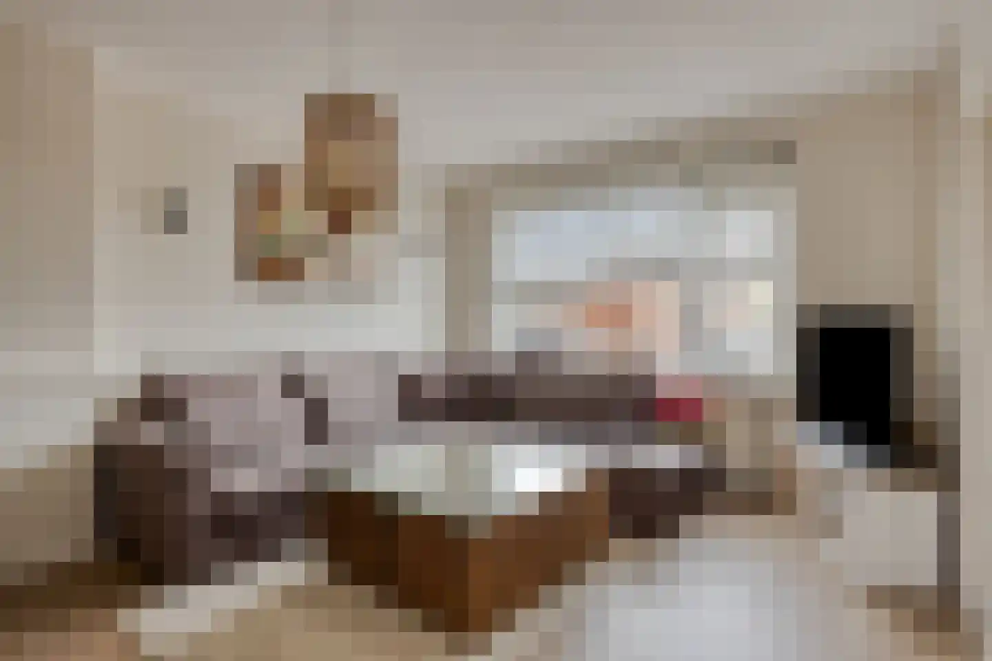 Lindelaan 287 Rijswijk thumbnail 7