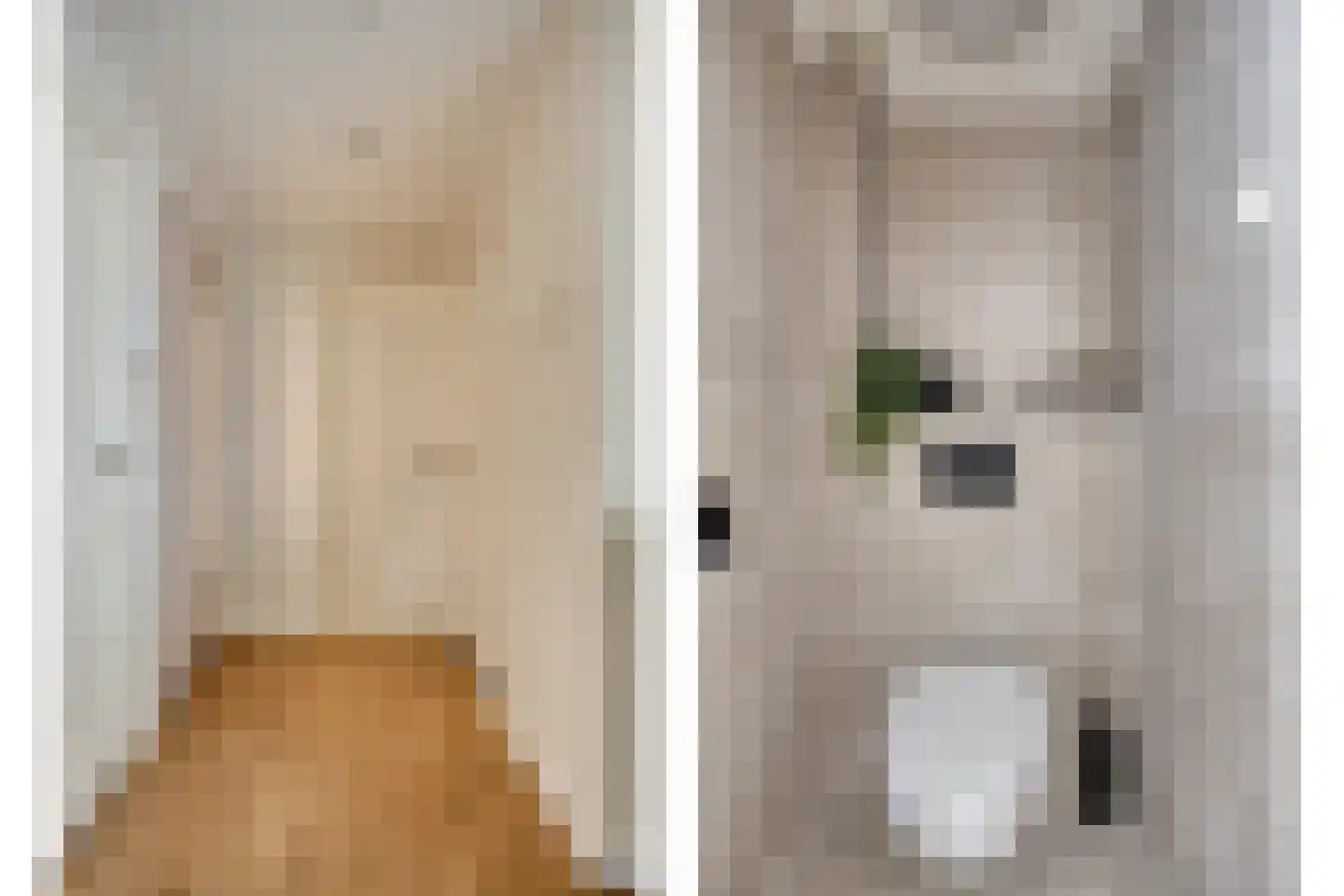 Lindelaan 287 Rijswijk thumbnail 8