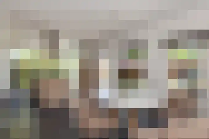 Lindelaan 29 Alblasserdam thumbnail 10
