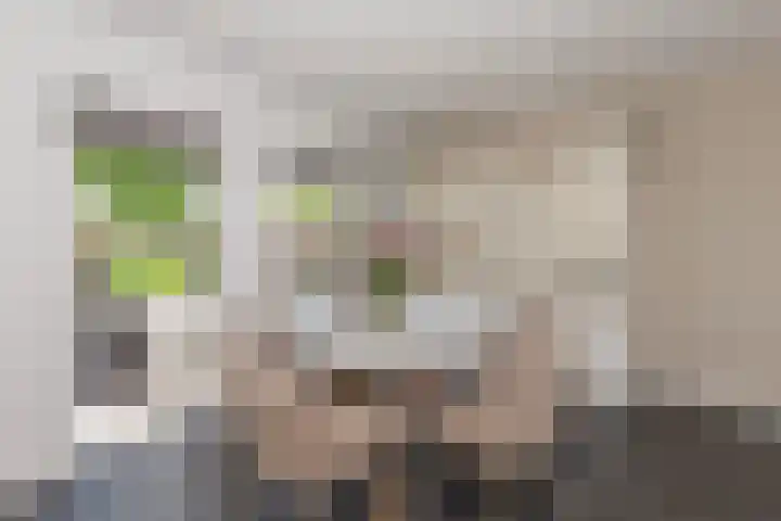 Lindelaan 29 Alblasserdam thumbnail 11