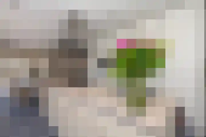 Lindelaan 29 Alblasserdam thumbnail 15