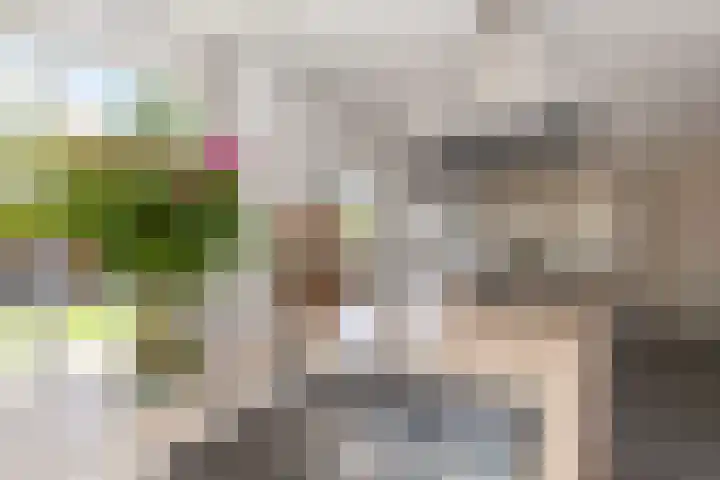 Lindelaan 29 Alblasserdam thumbnail 16