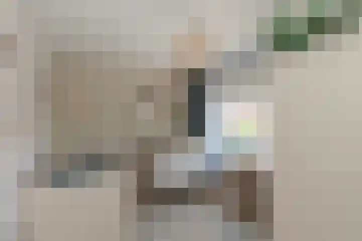 Lindelaan 29 Alblasserdam thumbnail 18