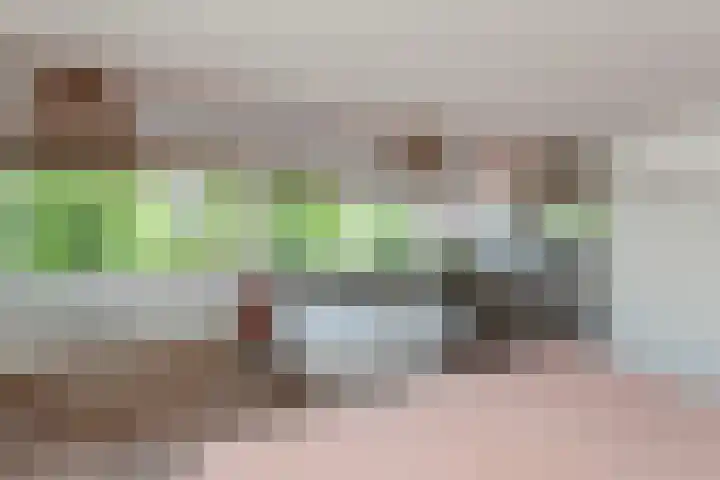 Lindelaan 29 Alblasserdam thumbnail 27