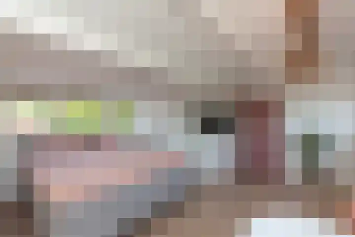 Lindelaan 29 Alblasserdam thumbnail 28