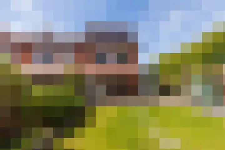 Lindelaan 29 Alblasserdam thumbnail 29