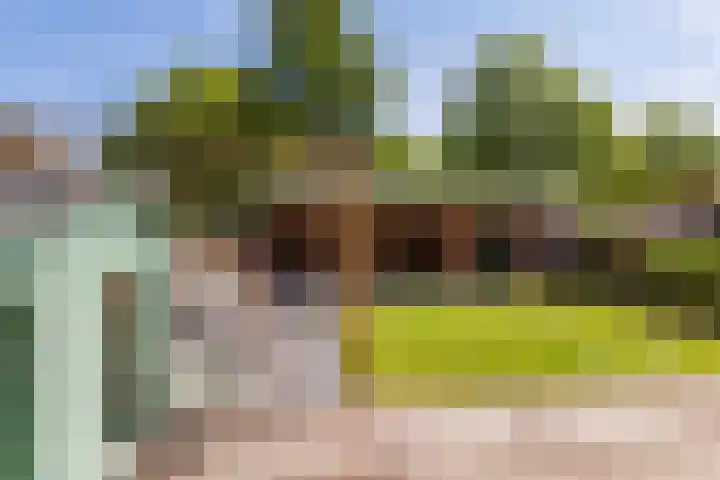 Lindelaan 29 Alblasserdam thumbnail 30
