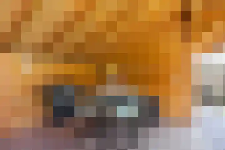 Lindelaan 29 Alblasserdam thumbnail 34