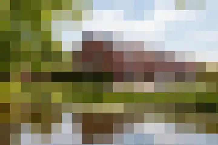 Lindelaan 29 Alblasserdam thumbnail 36