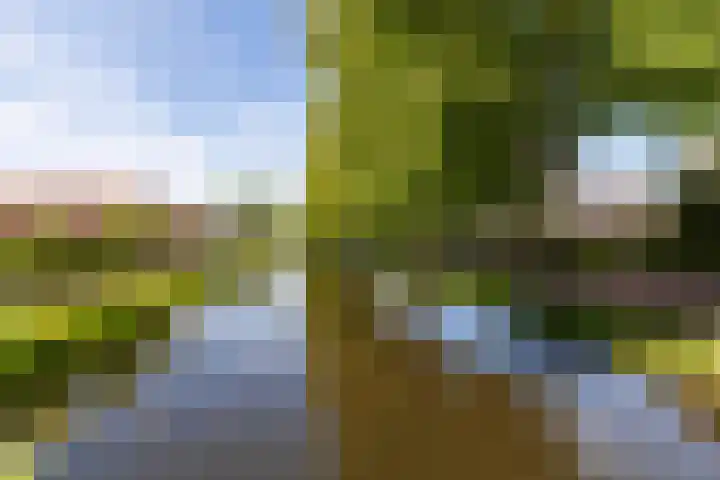 Lindelaan 29 Alblasserdam thumbnail 37